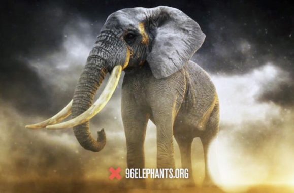 Billy Joel Lends Voice To Save Elephants